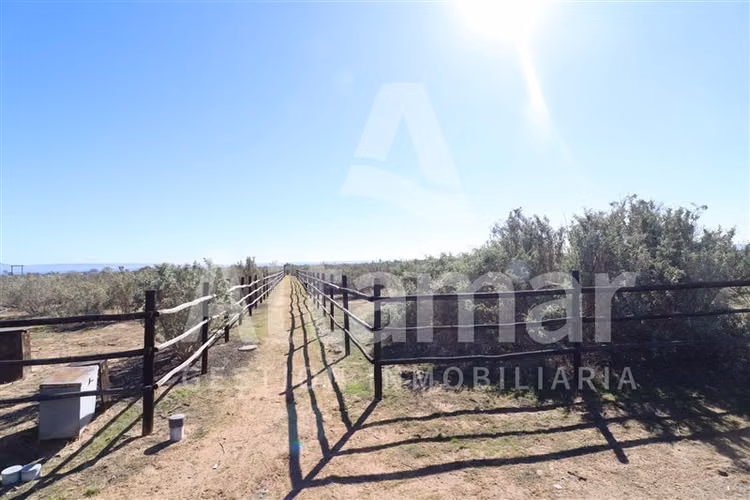 Terrenos Condominio en venta Changanal Tongoy en Coquimbo