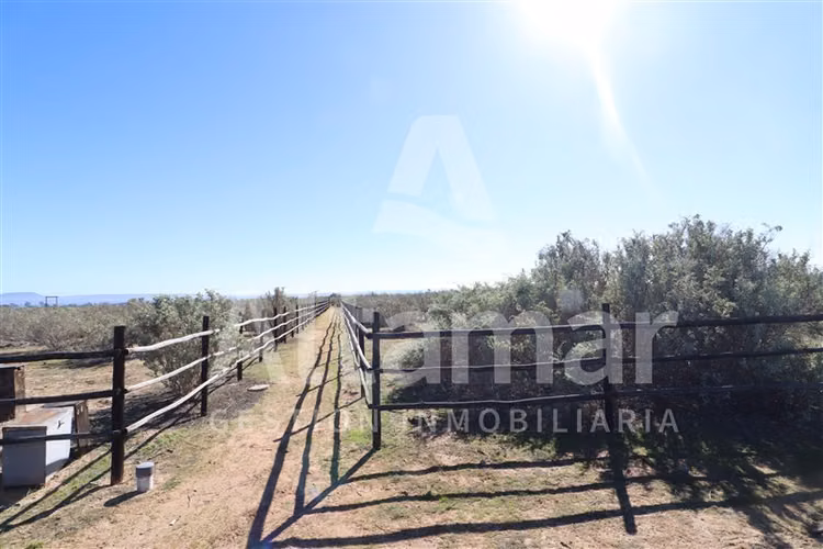 Terrenos Condominio en venta Changanal Tongoy en Coquimbo