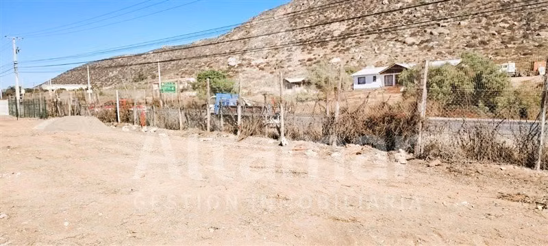 Terreno, Sitio Comercial e arriendo, Pan de Azucar, Coquimbo