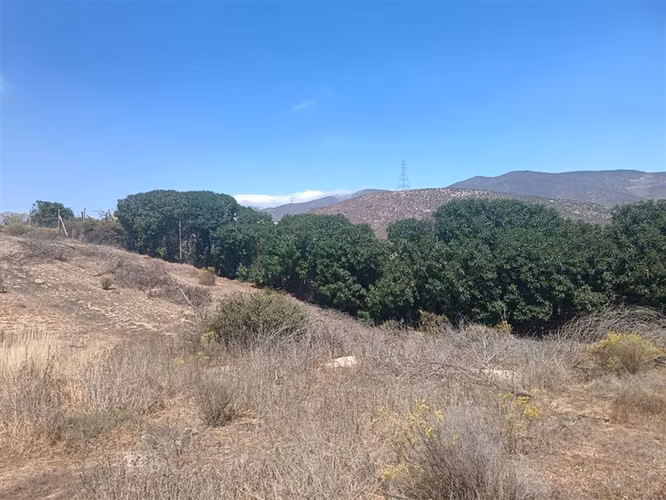 Parcela en venta en Coquimbo