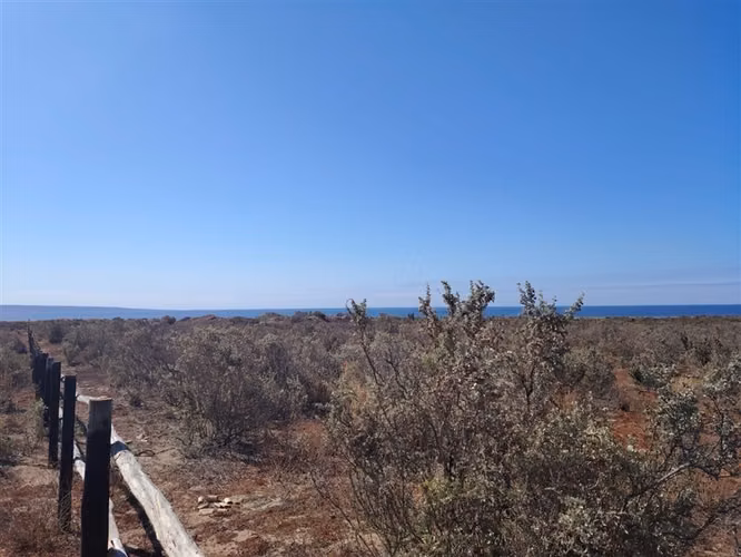 Parcela, venta Condominio Mesetas Changanal Tongoy, Coquimbo