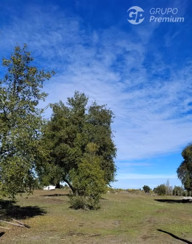 Parcelas en venta en Quillón, Ñuble. Oportunidad