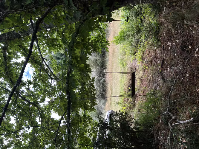 Terreno Las Gaviotas, Valdivia, Los Ríos
