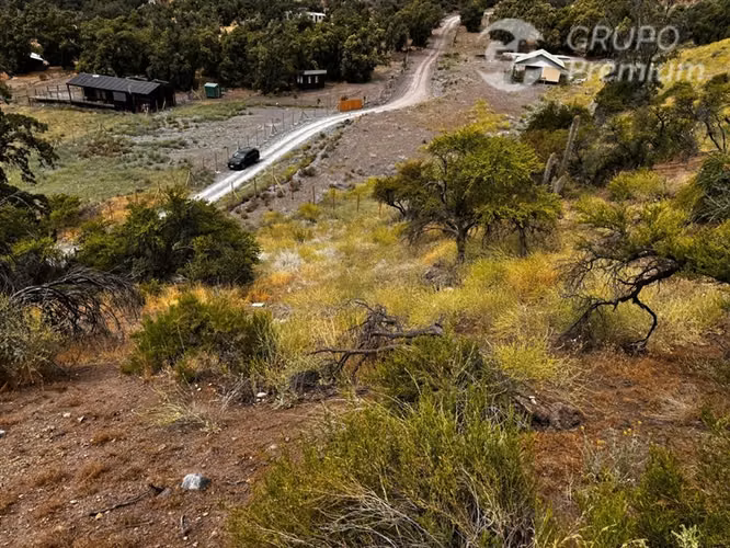 Cajón del Maipo Naturaleza y en Comunidad Ecológica.-