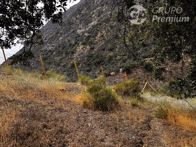 Cajón del Maipo Naturaleza y en Comunidad Ecológica.-