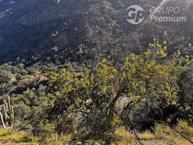 Cajón del Maipo Naturaleza y en Comunidad Ecológica.-