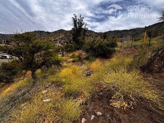 Cajón del Maipo Naturaleza y en Comunidad Ecológica.-