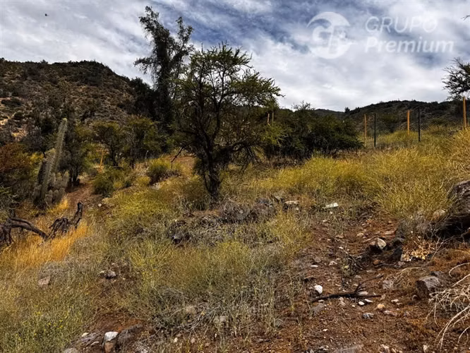 Cajón del Maipo Naturaleza y en Comunidad Ecológica.-