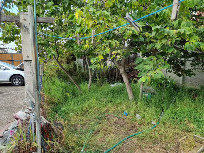 Se vende Céntrica Casa, Coquimbo. (159058)