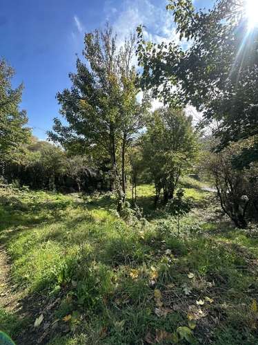 Sitio CENTRO DE OSORNO - Imagen 8
