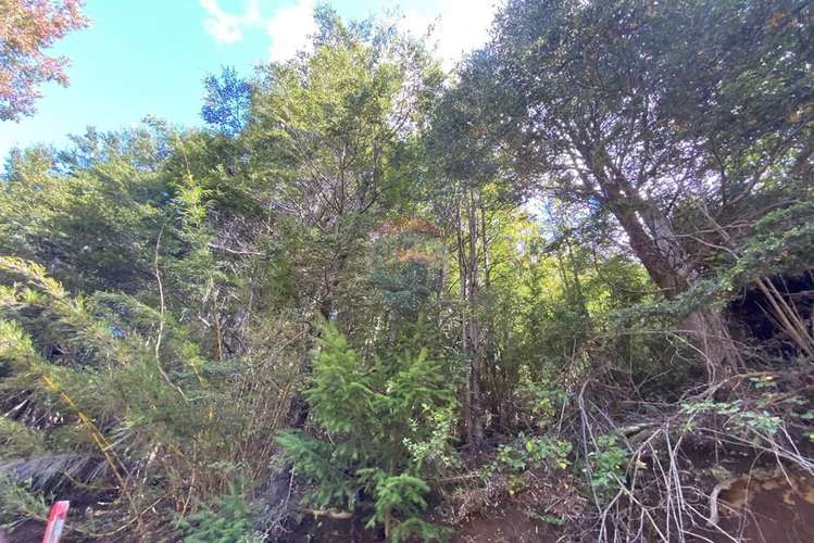 Terreno en venta palguin pucón - Imagen 26