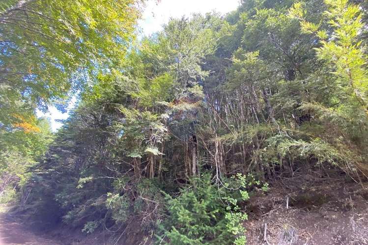 Terreno en venta palguin pucón - Imagen 24