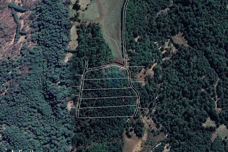 Terreno en venta palguin pucón - Imagen 2