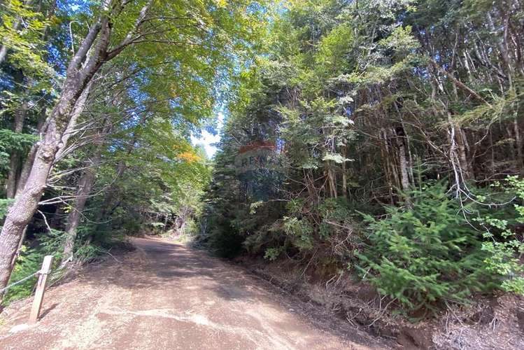 Terreno en venta palguin pucón - Imagen 3