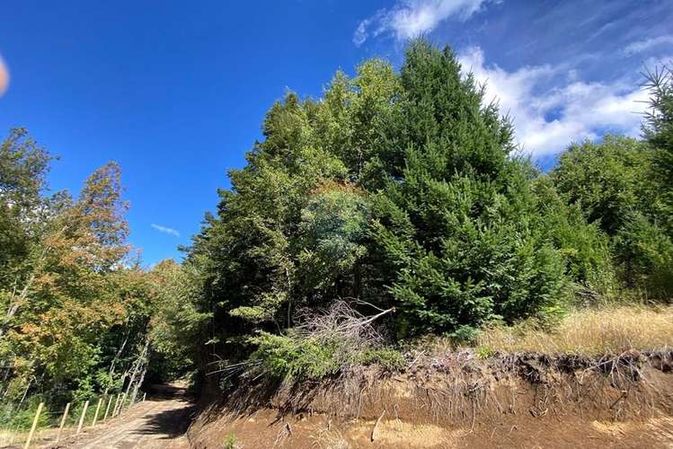 Terreno en venta palguin pucón - Imagen 25