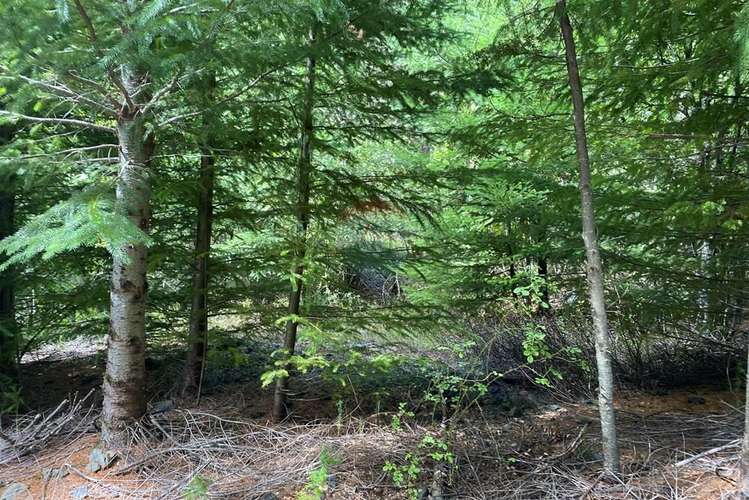 Terreno en venta palguin pucón - Imagen 17