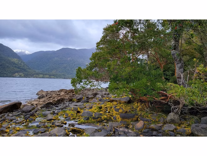 OPORTUNIDAD VENTA DE PARCELA  -  Pto Chacabuco, Aysén