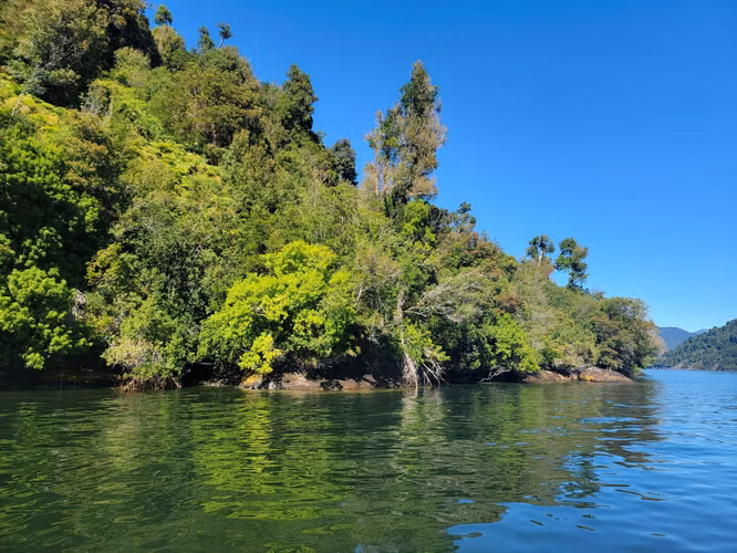 OPORTUNIDAD VENTA DE PARCELA  -  Pto Chacabuco, Aysén