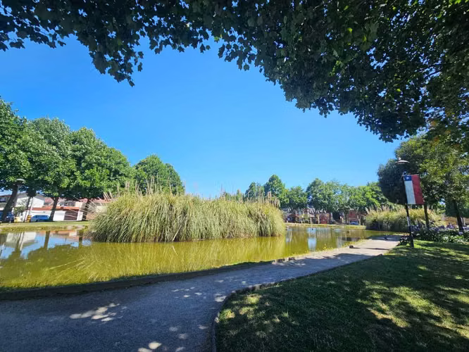 Arriendo casa 2D 2b 1E Lomas de San Sebastian (159200)