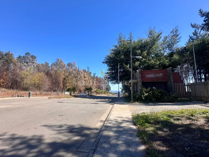 Venta de terrenos en San José del Mar