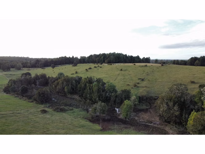 PROYECTO PRADERAS CHILOÉ Parcelas En Venta En Castro - Chiloé