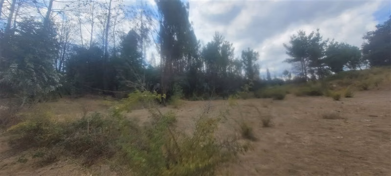 Agrícola en Venta en Nacimiento