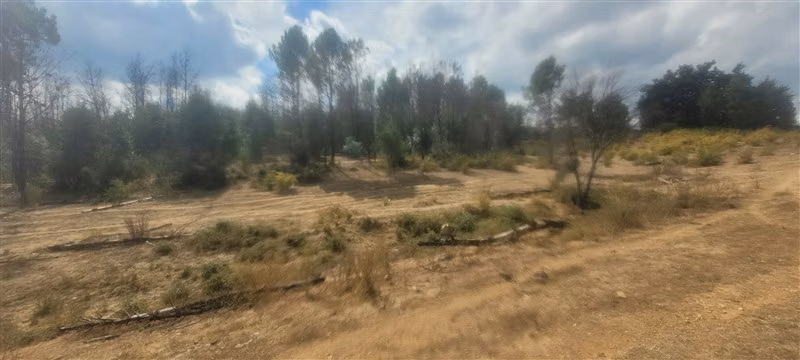 Parcela en Venta en Nacimiento