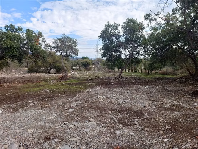 Sitio en Venta en Olmué - Imagen 20