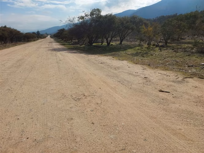Sitio en Venta en Olmué - Imagen 21
