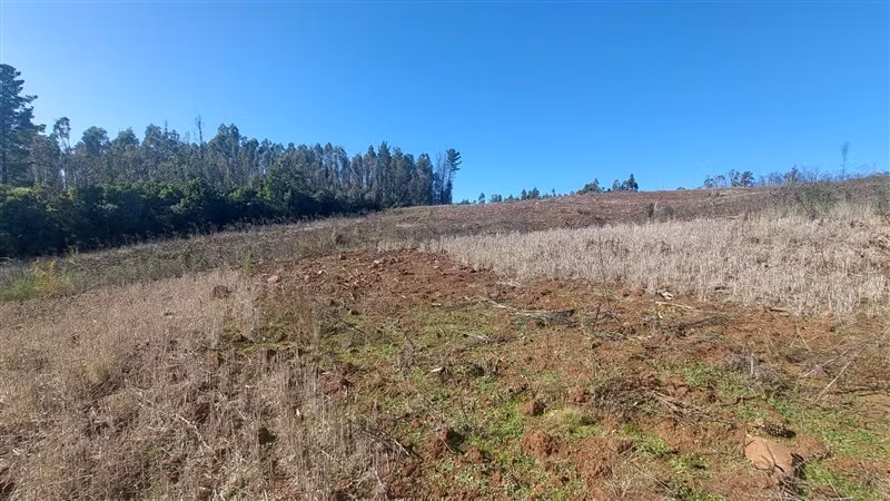 Sitio en Venta en Nacimiento