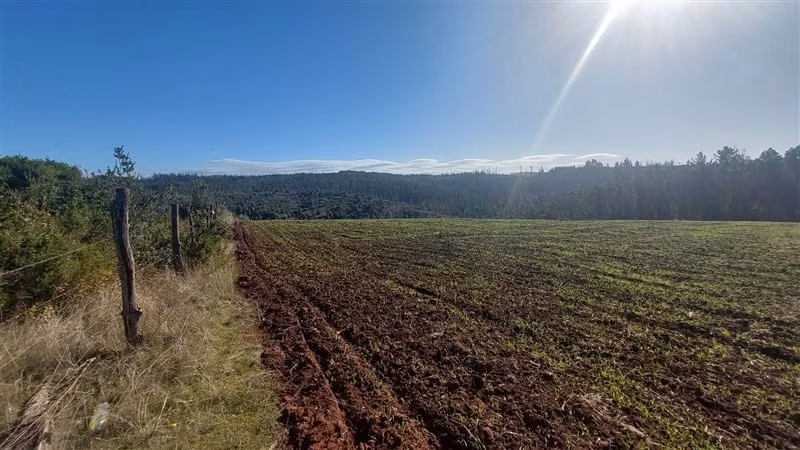 Sitio en Venta en Nacimiento