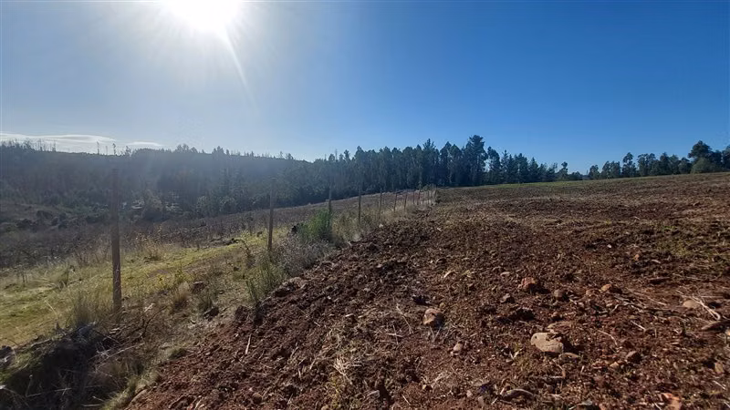 Sitio en Venta en Nacimiento