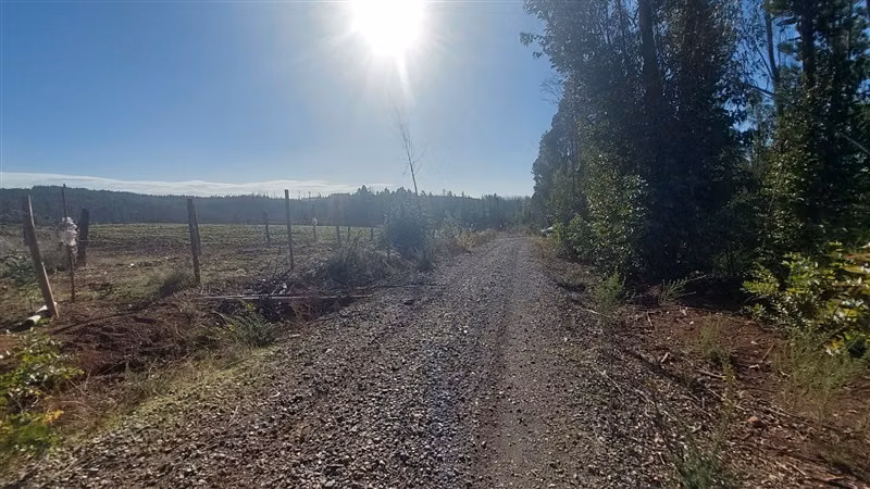 Sitio en Venta en Nacimiento