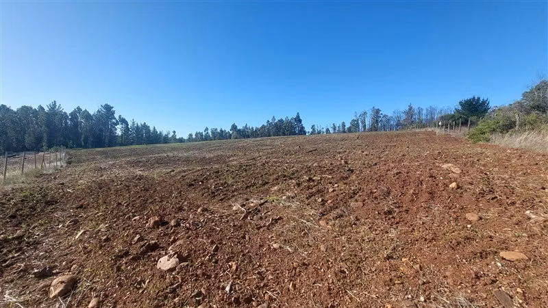 Agrícola en Venta en Nacimiento