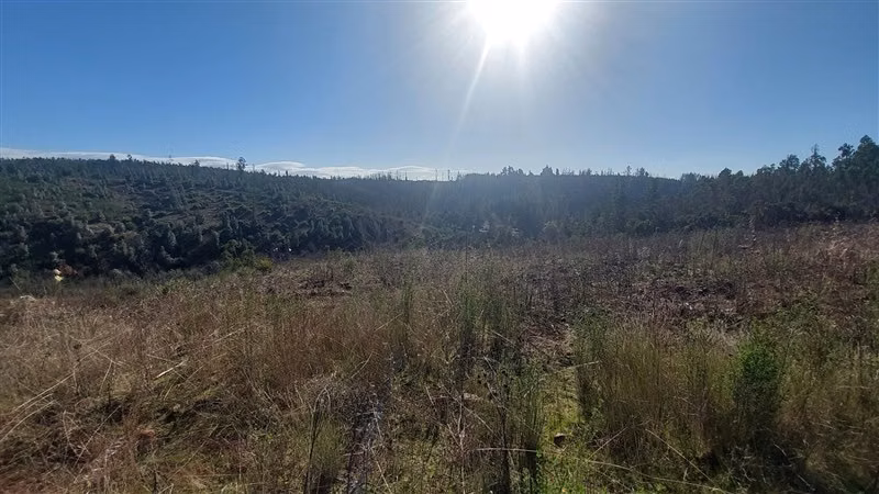 Agrícola en Venta en Nacimiento