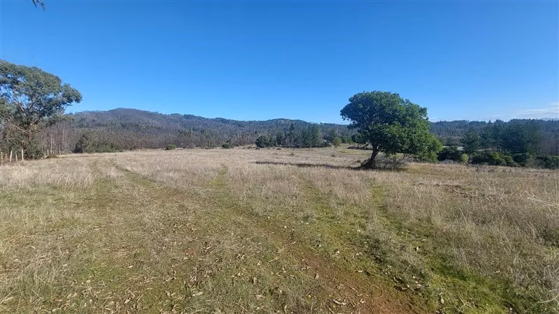 Agrícola en Venta en Nacimiento