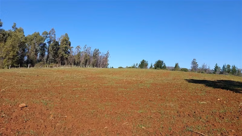 Agrícola en Venta en Nacimiento