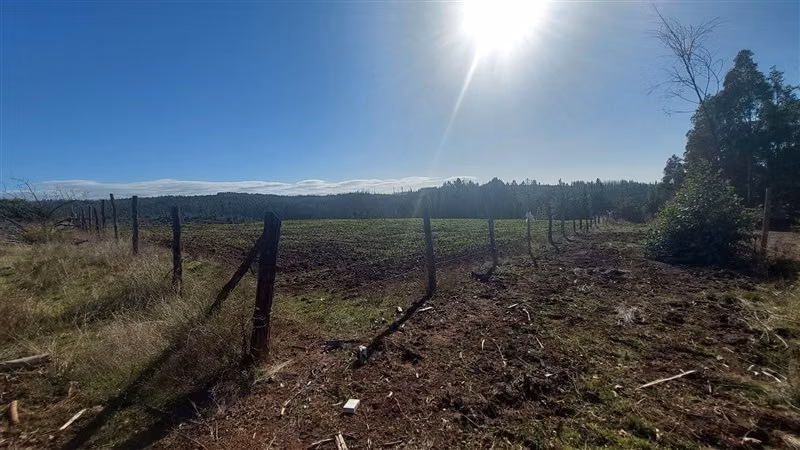 Agrícola en Venta en Nacimiento