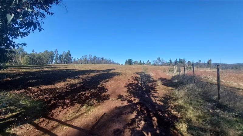 Terreno Construccion en Venta en Nacimiento