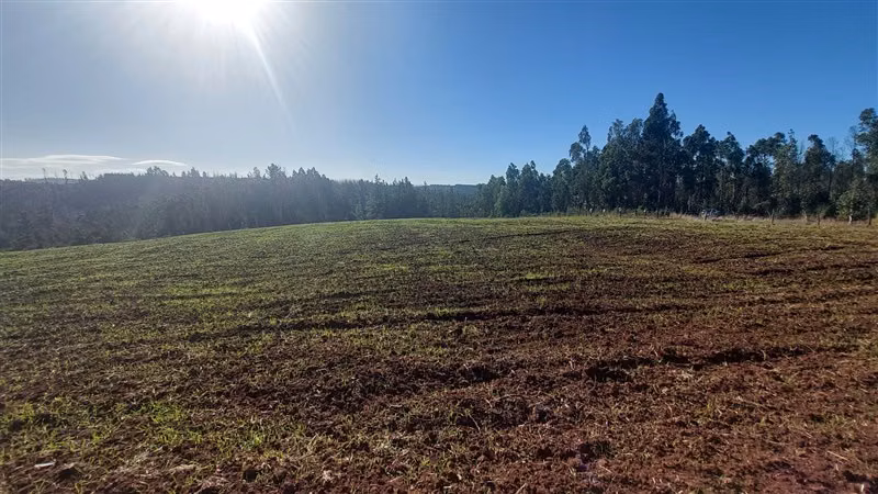 Terreno Construccion en Venta en Nacimiento