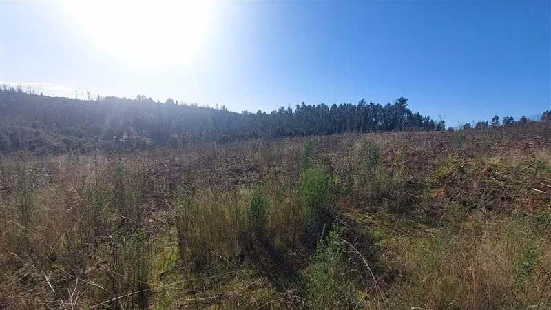 Terreno Construccion en Venta en Nacimiento