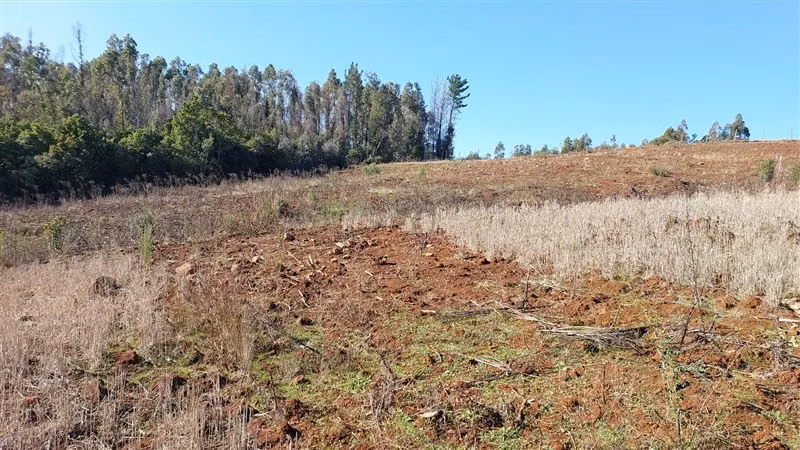 Terreno Construccion en Venta en Nacimiento