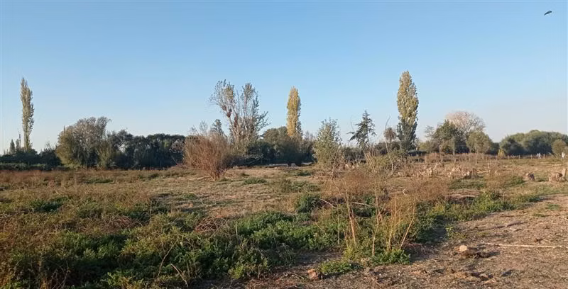 Terreno Construccion  en Venta en San Carlos