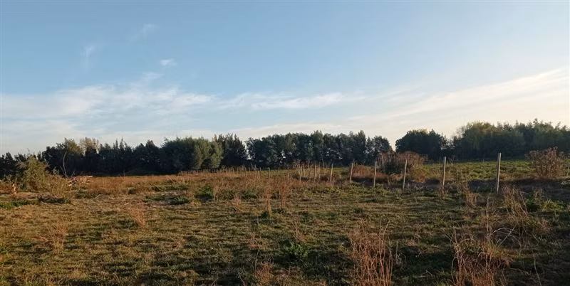 Terreno Construccion  en Venta en San Carlos