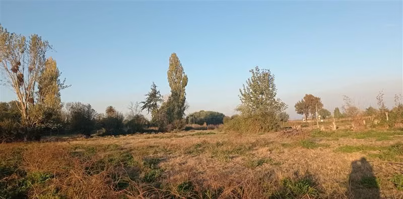 Terreno Construccion  en Venta en San Carlos