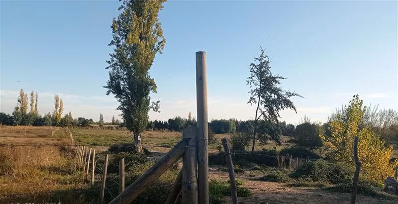 Terreno Construccion  en Venta en San Carlos