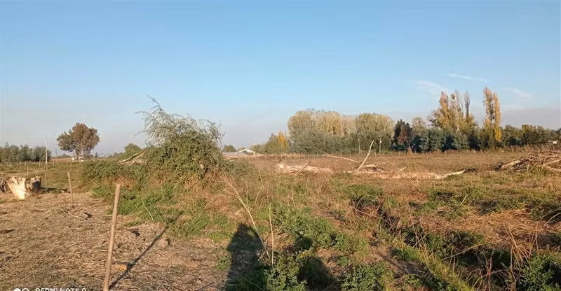 Agrícola en Venta en San Carlos