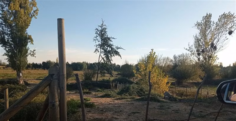 Agrícola en Venta en San Carlos