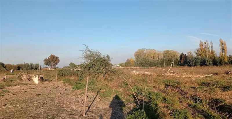 Agrícola en Venta en San Carlos
