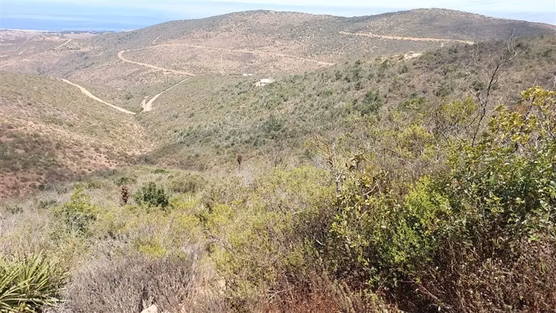 Parcela en Venta en La Ligua - Imagen 22